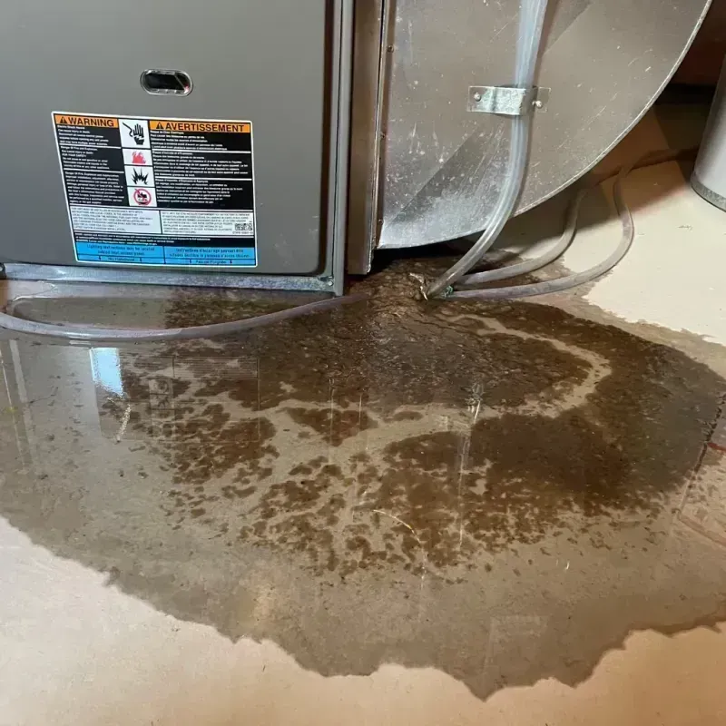 Appliance Leak Cleanup in Addison, IL